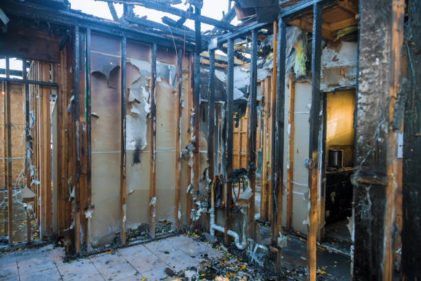 Professional Odor Removal technician working in New Braunfels, TX